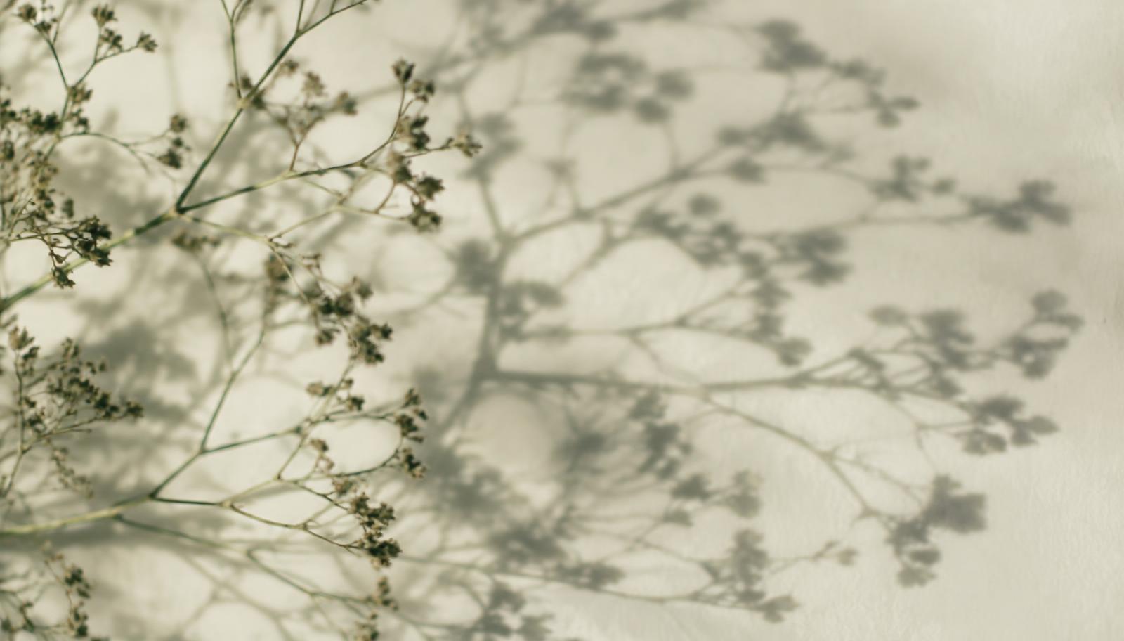 Peptide Therapy for Cognitive Longevity: Semax, Selank and Nootropic Peptides — Mental Wellness